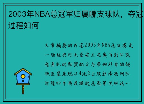 2003年NBA总冠军归属哪支球队，夺冠过程如何